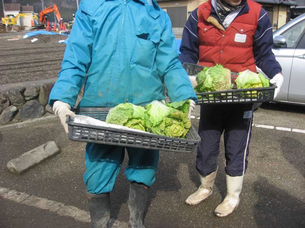 畑で収穫した野菜を事業所まで運ぶ