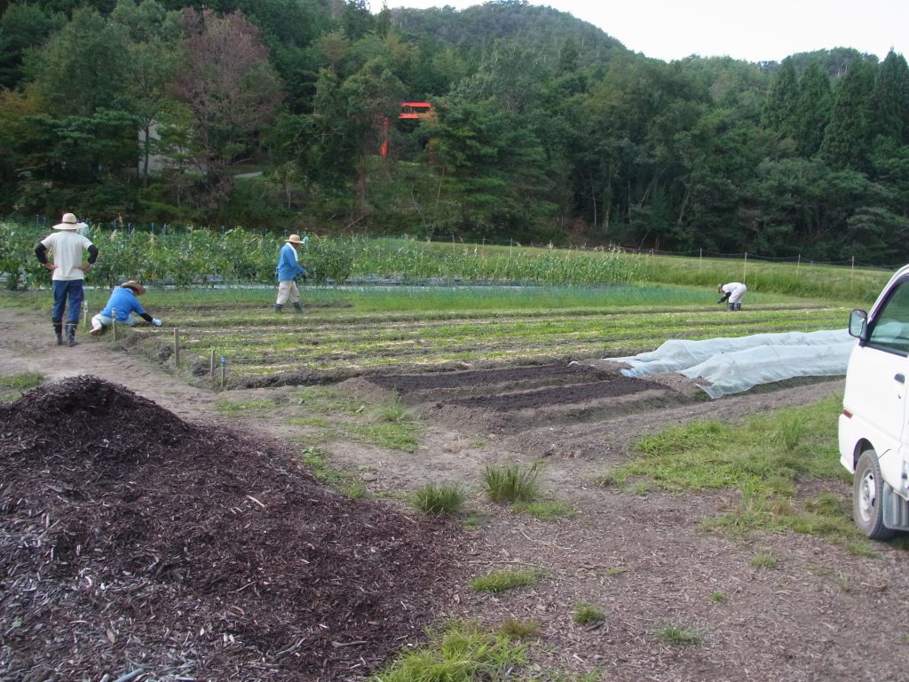 一番最初に借りたA耕地。山手に朱い鳥居が見える