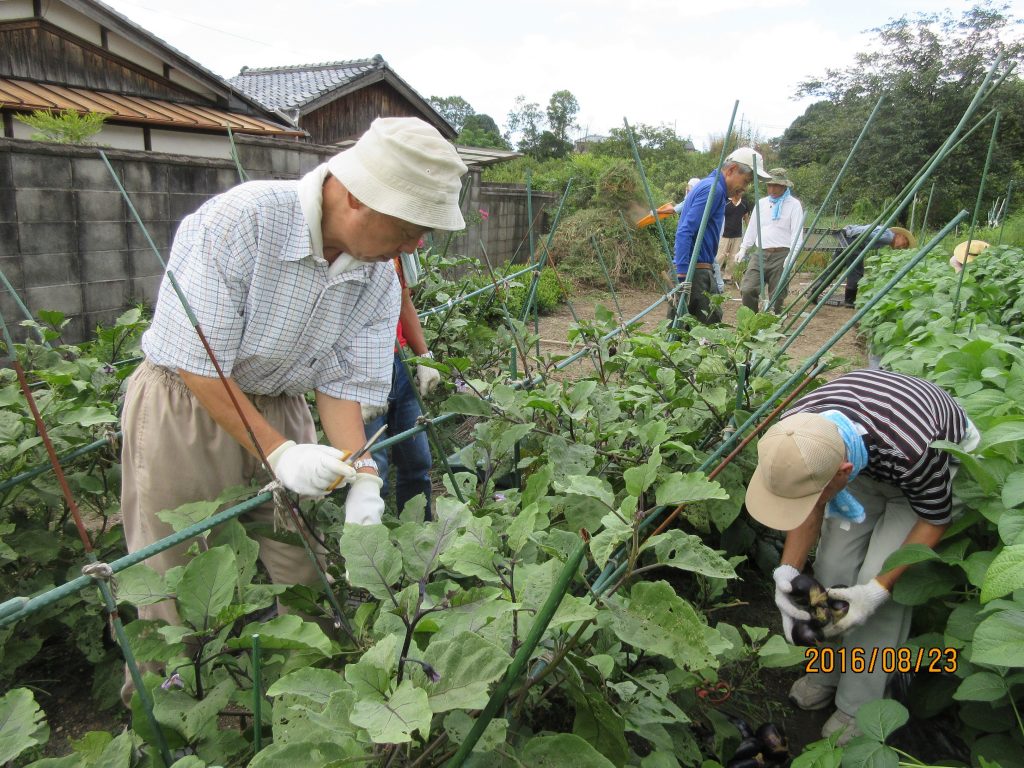 利用者と地域のボランティアが一緒に作業